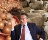"النعجة بـ8000 درهم والخضرة غاتوصل لـ30 درهم".. المهاجري ينتقد تدبير القطاع الفلاحي ويحذر من استمرار ارتفاع الأسعار